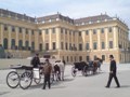 palazzo Schönbrunn