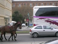 prenotare un trasferimento di persone a Vienna