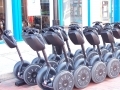 sightseeing Segway tours in the city of Vienna
