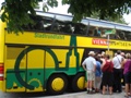 sightseeing bus tours